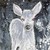 :iconlight-stag: