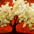 :iconlightandpaper: