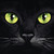:iconlightincatseyes: