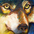 :iconlightnheat: