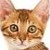 :iconlightningkit:
