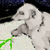 :iconlightningshour: