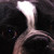 :iconlightningstrikeart: