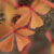 :iconlights-inthe-fog: