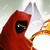 :iconlightupmypalette: