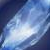 :iconlightwarriorofair: