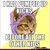 LightwingOfSkyClan :iconlightwingofskyclan: