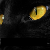 :iconlightyagami296: