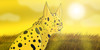 :iconlightylights: