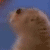 :iconliieh:
