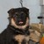 :iconliisake31:
