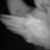 :iconliittle-angel: