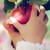 LiittleMissButton :iconliittlemissbutton: