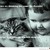:iconlike-a-boss-23: