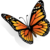 likeablevector :iconlikeablevector: