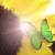 :iconliketheeaglesfly: