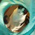 :iconlil-astharoshe:
