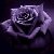 :iconlil-chola: