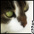 :iconlil-linny: