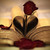 :iconlil-lumos: