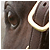 :iconlil-miss-cowgirl: