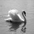 :iconlil-thing: