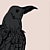 :iconLilacSnow: