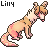 :iconlilarkwulf: