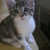 :iconlilas8059: