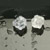 :iconlilbitcold: