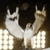 :iconlilbizarre: