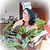 :iconlildragonfly: