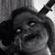 :iconlilduckie:
