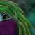 :iconlilgreenfreaky:
