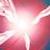 :iconlili-arc-en-ciel: