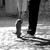 :iconliliancat: