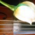 :iconLilies3:
