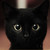 :iconlililumagic55p: