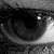 :iconlilith93d: