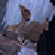 :iconlilithmorrigan09: