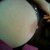 :iconlilithreborn: