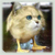 :iconlilkillerduck: