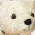 :iconlilkimaye: