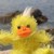:iconlilli7845: