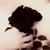 :iconlilliria: