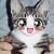 :iconlillith-the-red: