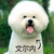 :iconlillybeans: