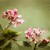 LillyBeePhotography :iconlillybeephotography: