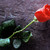 :iconlillyforgot7891: