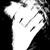 :iconlillylockley: